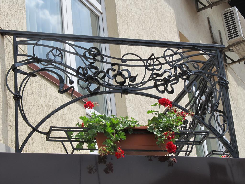 Kaiser Hotel Černovice Exteriér fotografie